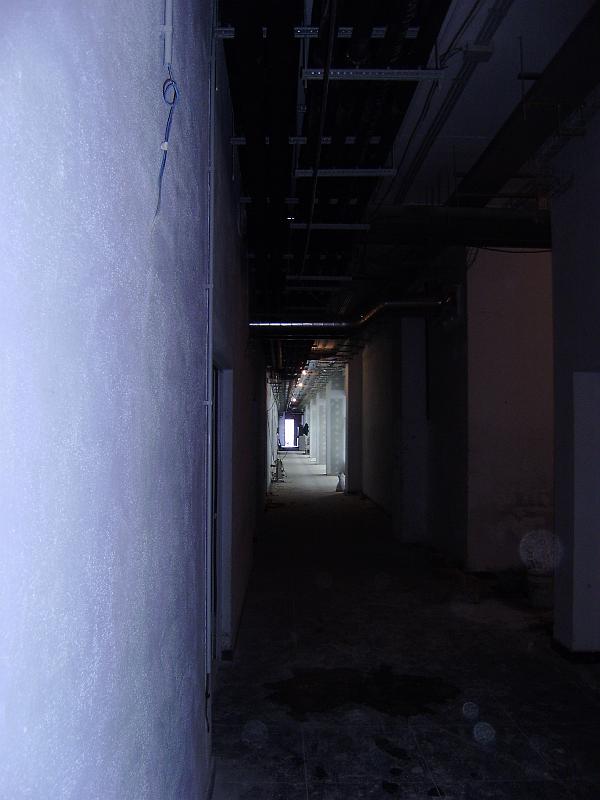 1Febrero2011
