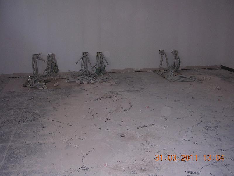 31marzo2011